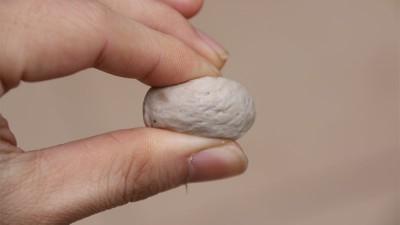 做肉丸用什么可以代替高彈素達(dá)到增彈增脆的效果？