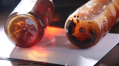 酒曲與酶制劑有什么區(qū)別？兩個可以同時使用嗎？