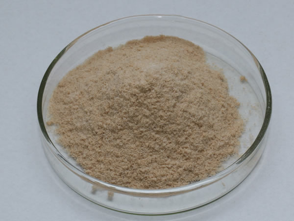 膜清洗酶（膜清洗劑，洗滌酶）